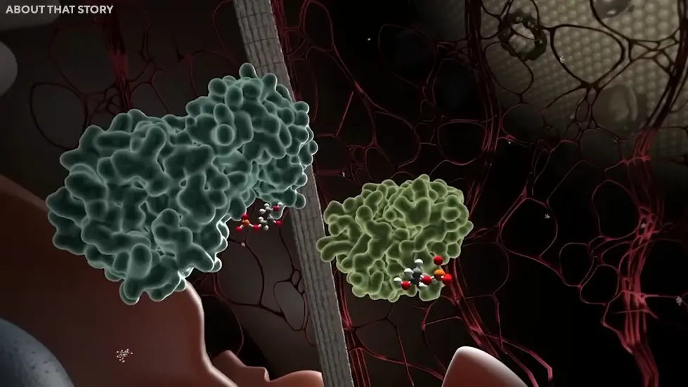 10 Prophecies That Are About To Fulfill 017