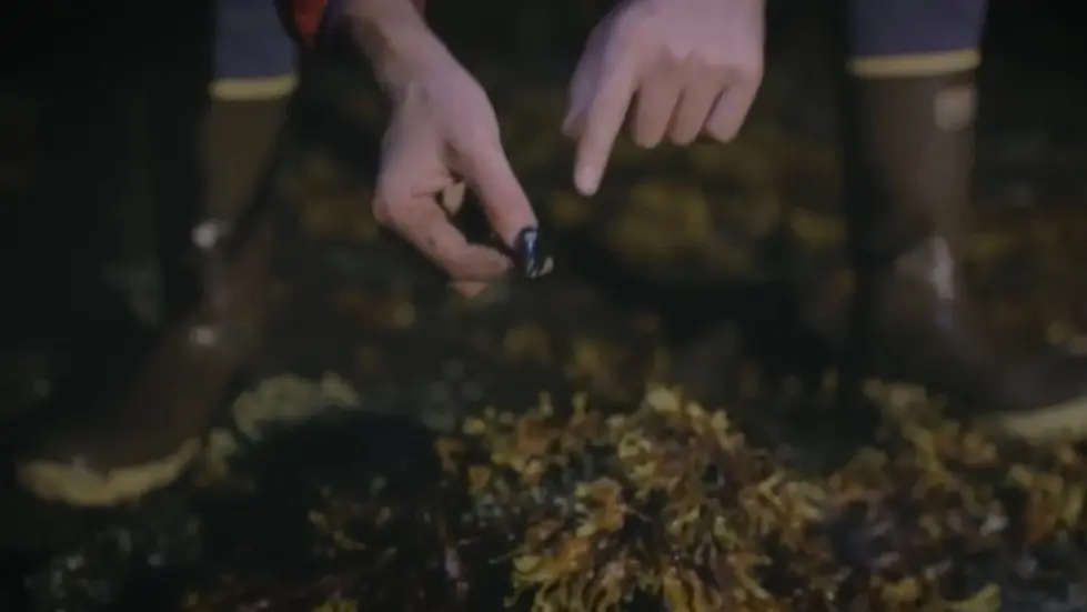 Russia Reveals Antarctica Is Not What We