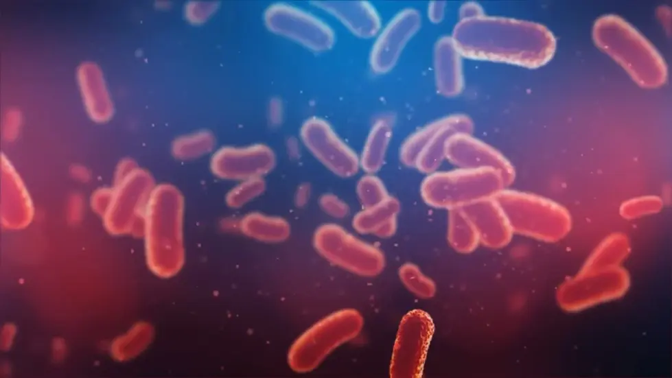 Russia Reveals Antarctica Is Not What We