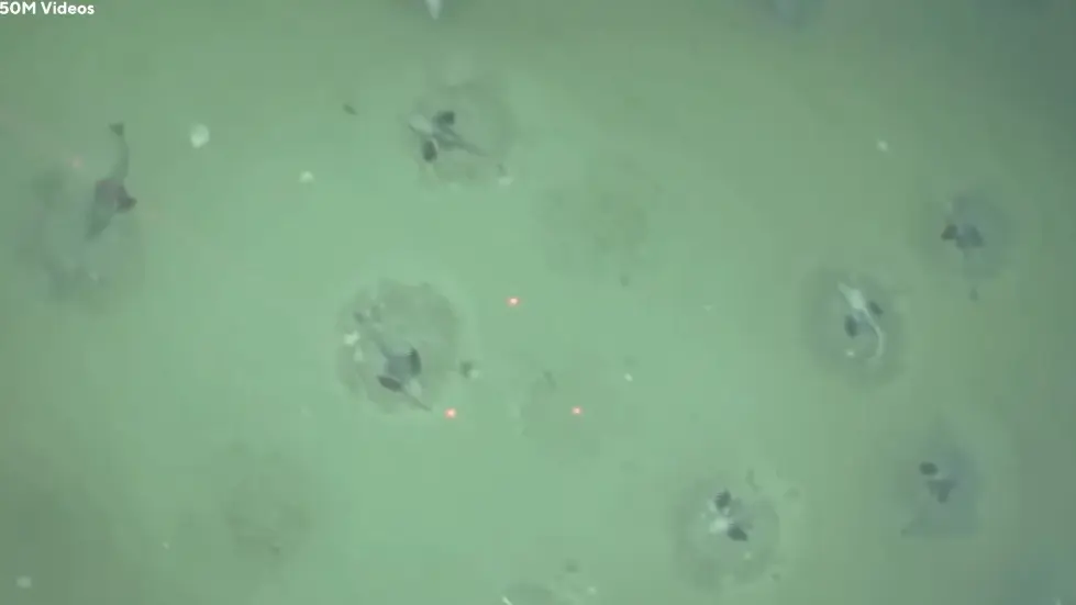 Russia Reveals Antarctica Is Not What We