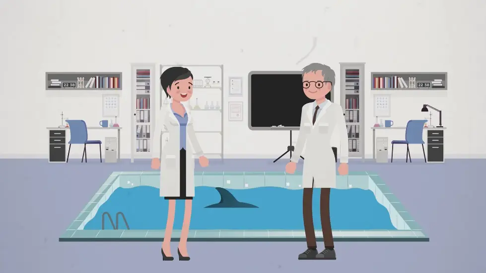 The Experiment That Shocked the World - with Dolphins 009