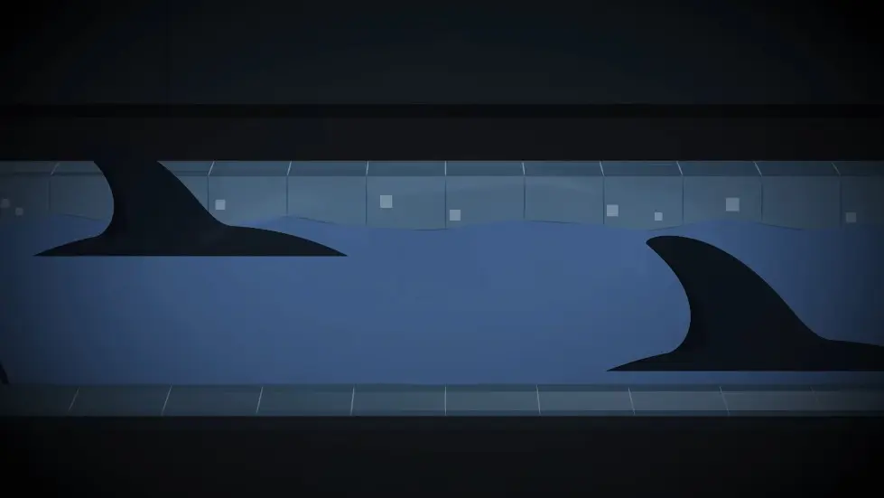 The Experiment That Shocked the World - with Dolphins 019