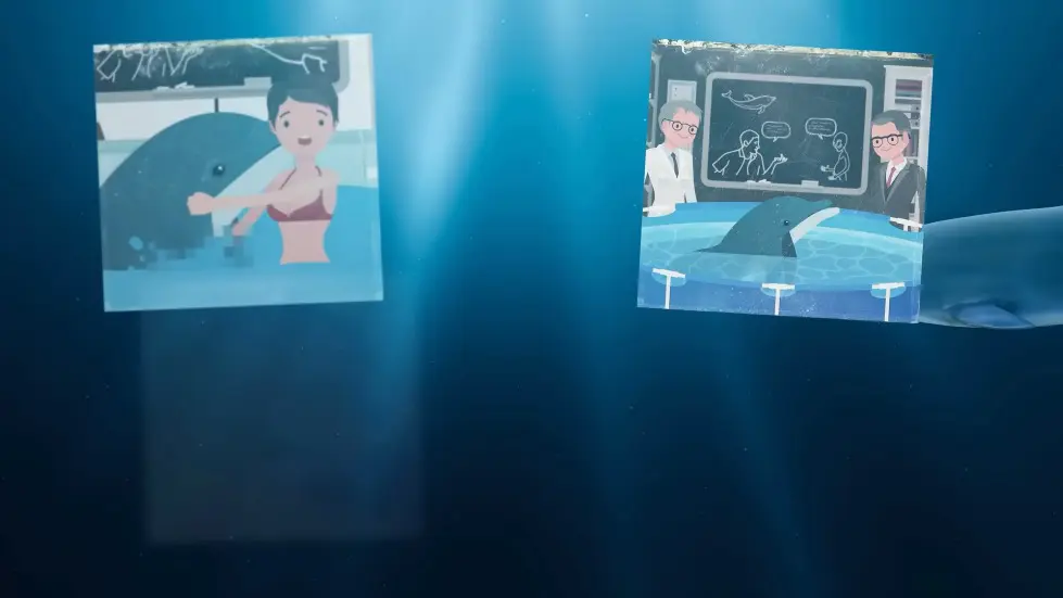 The Experiment That Shocked the World - with Dolphins 022