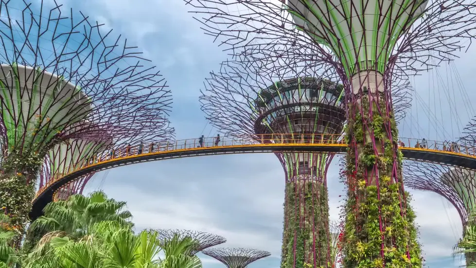 We Should ALL Be Worred About Boston Dynamics 013