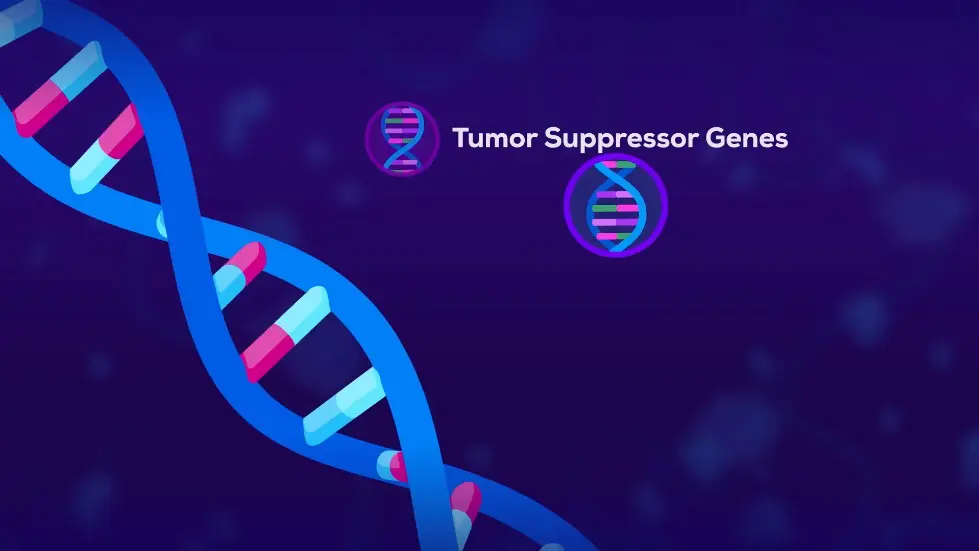 Your Body Killed Cancer 5 Minutes Ago 004